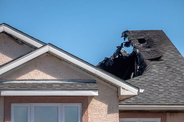 Top rated local Emergency Fire Cleanup specialists in Venice, FL